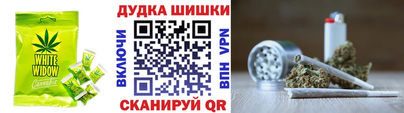 Canna-Cookies конопля  hydra как войти  Новоульяновск  цена наркотик 
