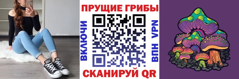 mega ссылки  купить наркотики цена  Новоульяновск  Псилоцибиновые грибы мицелий 